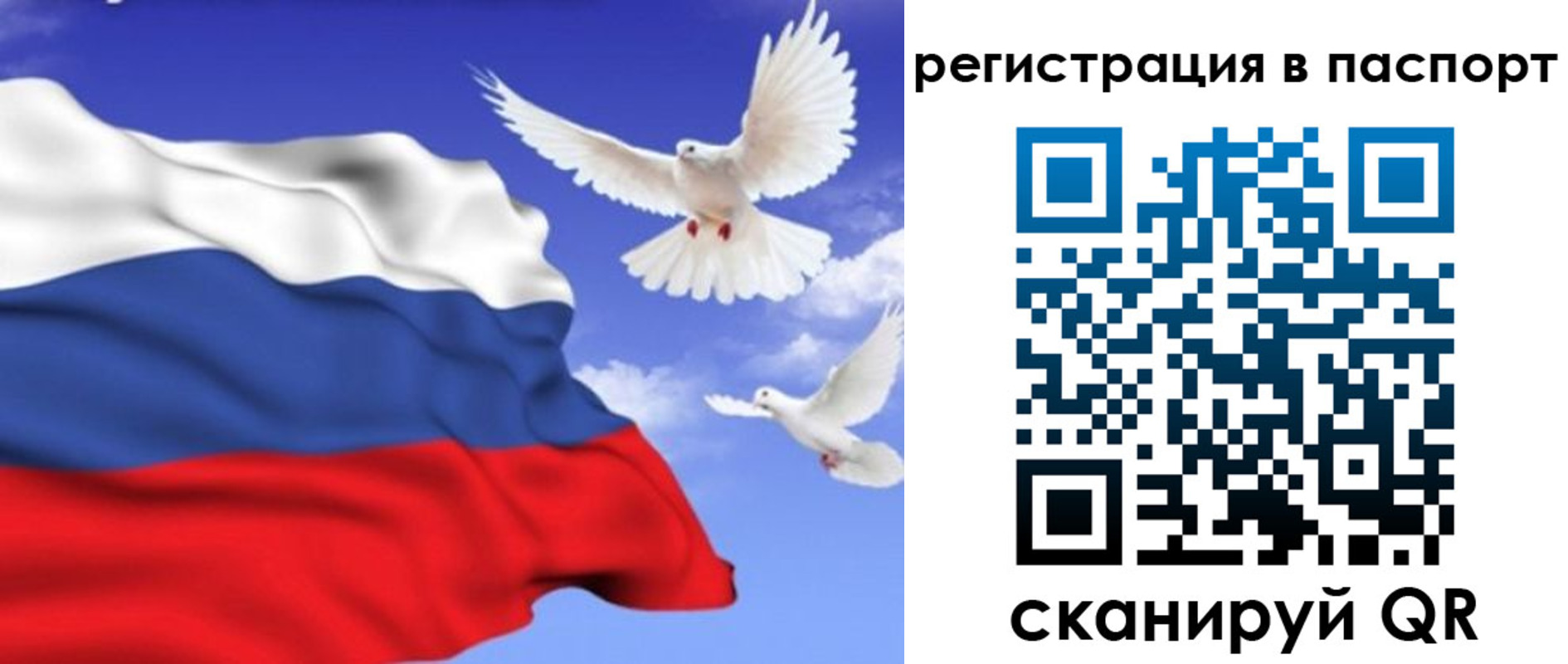 купить прописку в Ленинградской области
